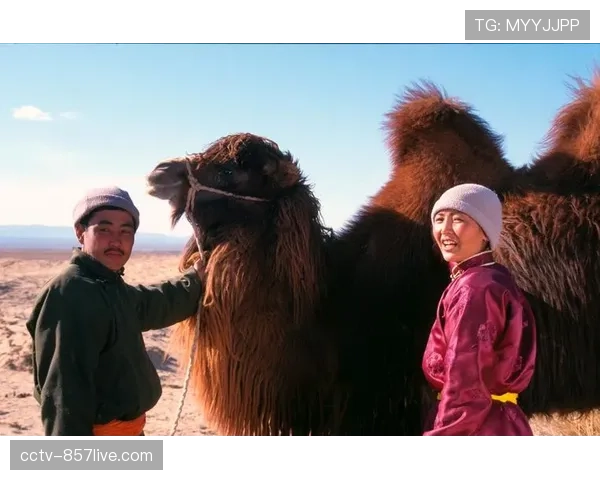 纪录片《威斯特法伦的90分钟》将于3月底上映,记录南看台文化 纪录片《威斯特法伦的90分钟》将于3月底上映,记录南看台文化